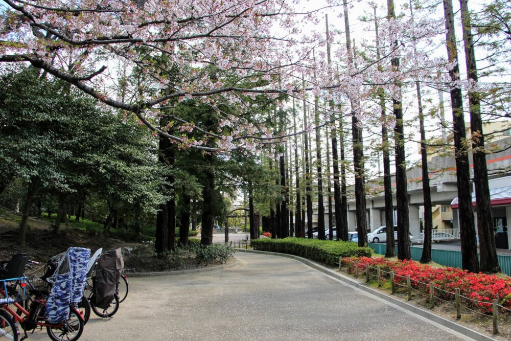 「西田公園（にしだこうえん）（西田町）」【にしつー公園】 西宮つーしん