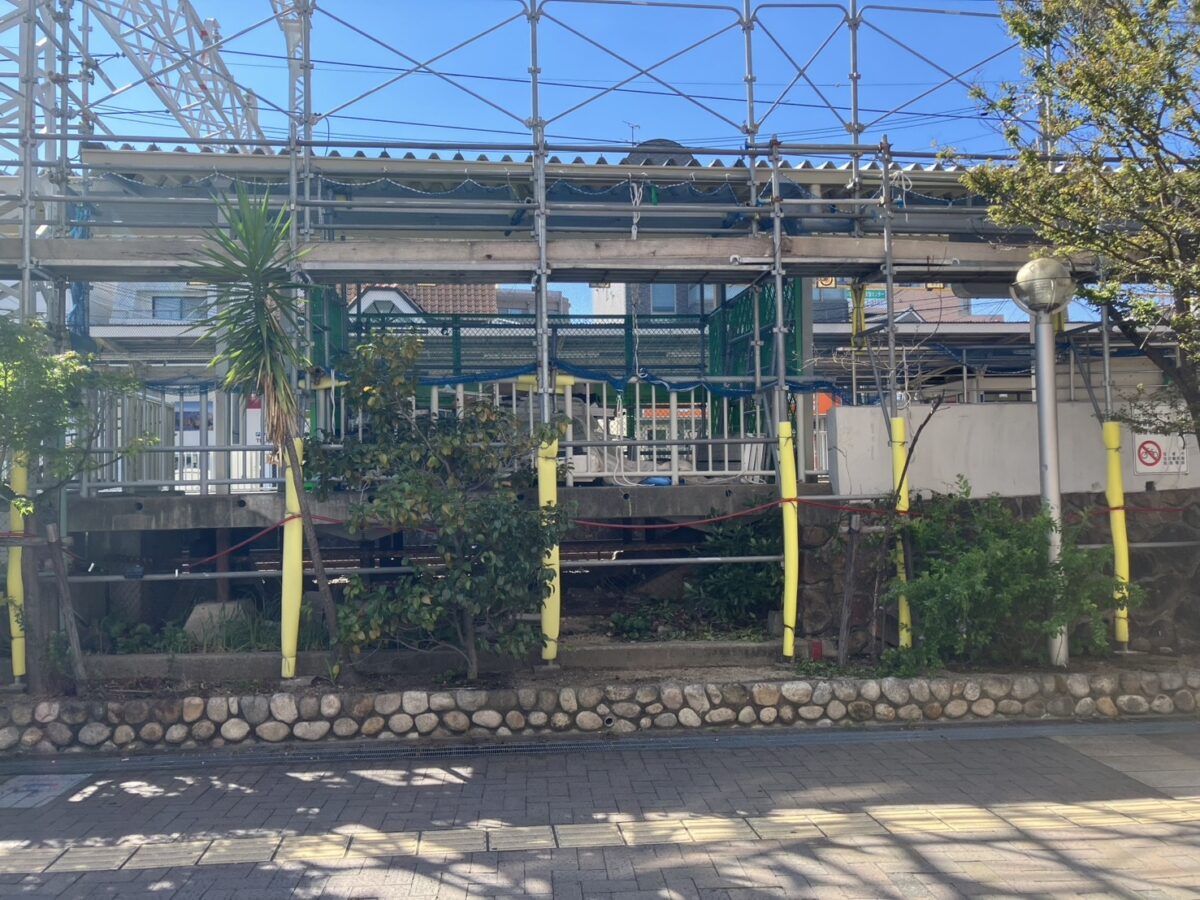 お向かいの様子